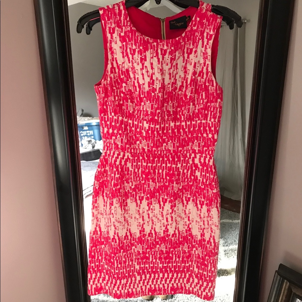 Pink and White Dress